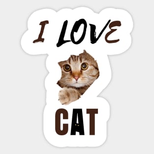 I Love Cat with Kitten Face & Eyes Sticker